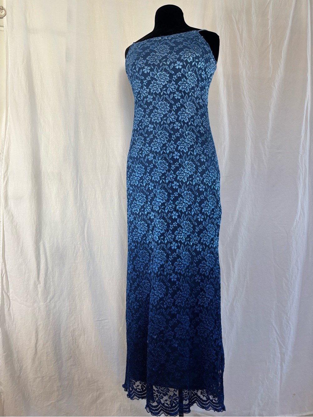 Blue Ombre Lace Slip Dress Maxi Petite 8 Floral Mesh Lined Evening Romantic